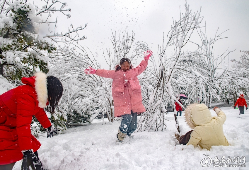 兴高采烈玩雪的市民