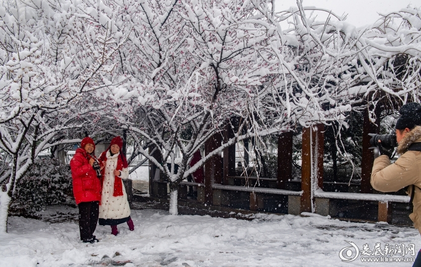 与雪拍照合影的市民