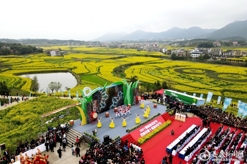 锁石油菜花节  李建新 摄